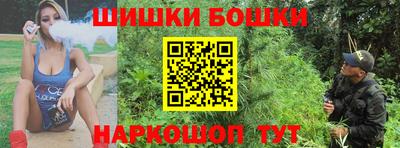 крисы Абакан