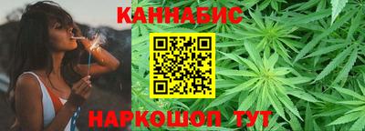 крисы Абакан