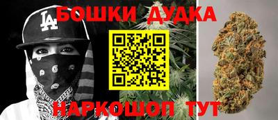 крисы Абакан