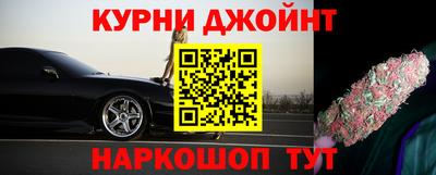 крисы Абакан