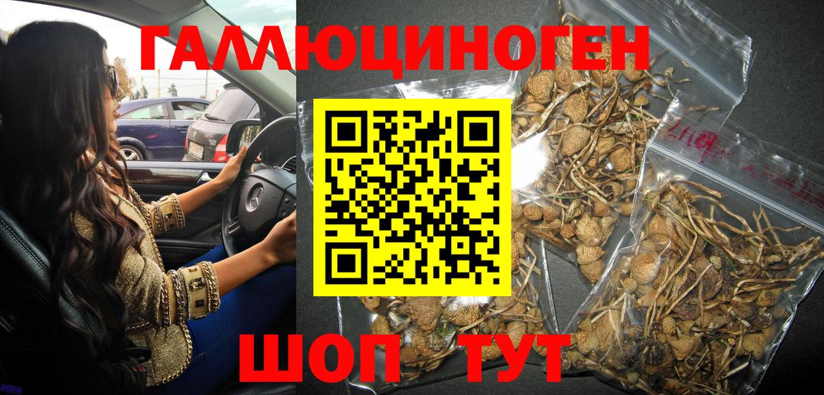 Галлюциногенные грибы MAGIC MUSHROOMS Анжеро-Судженск