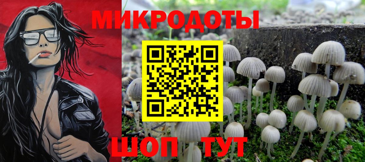 Галлюциногенные грибы Psilocybe  Вход с VPN  даркнет сайт  Анжеро-Судженск 
